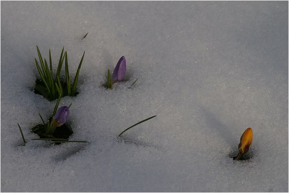 Frühling 2013 in Niedersachsen