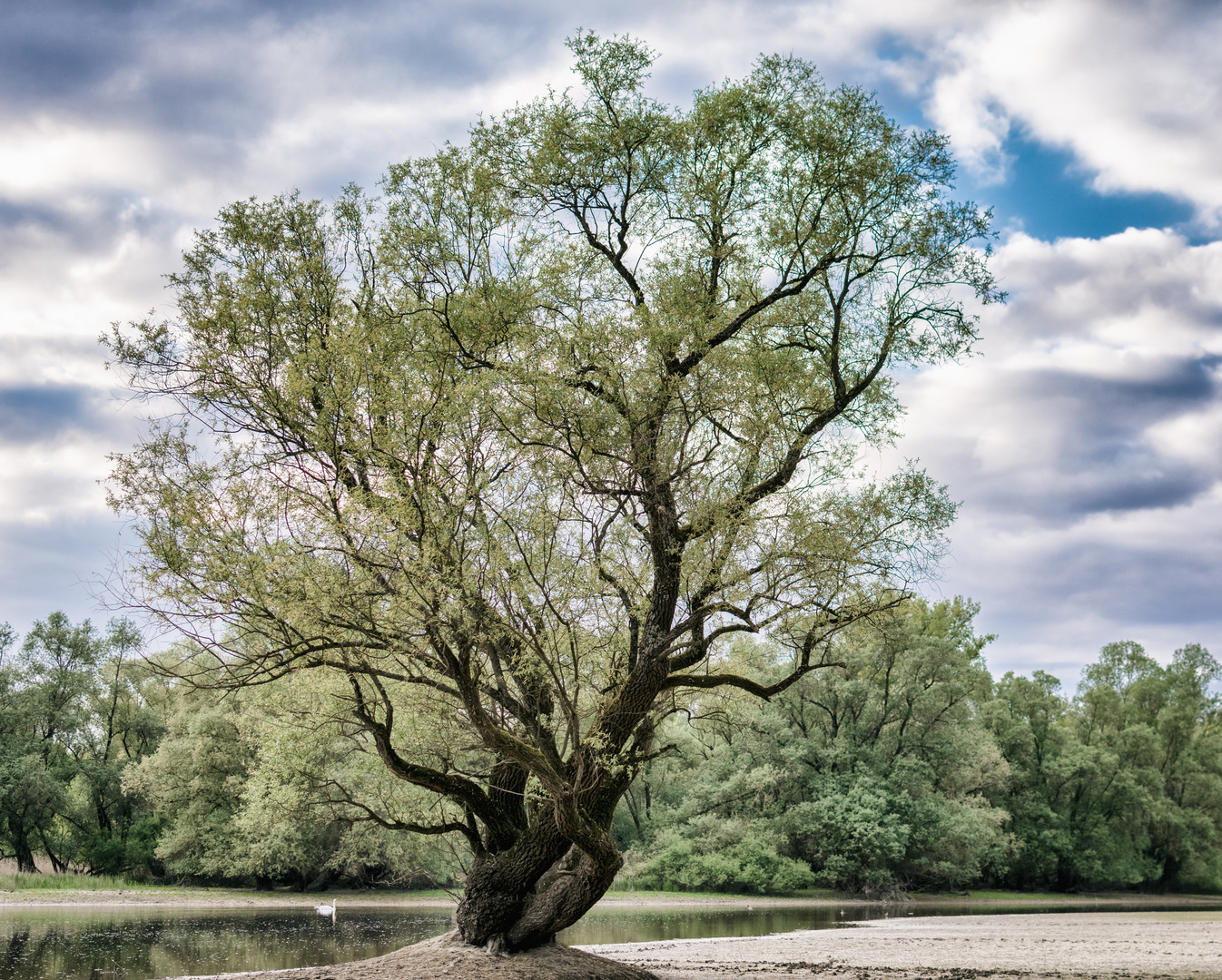 Frühling 2014