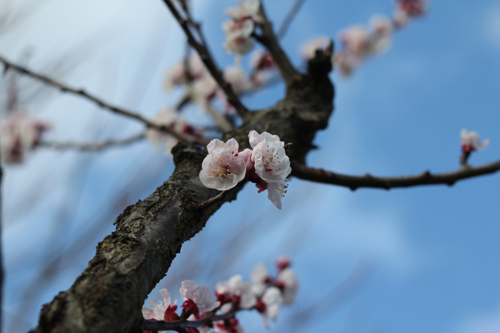 Frühling 2014