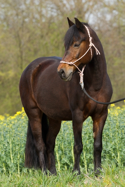 Frühling 2014