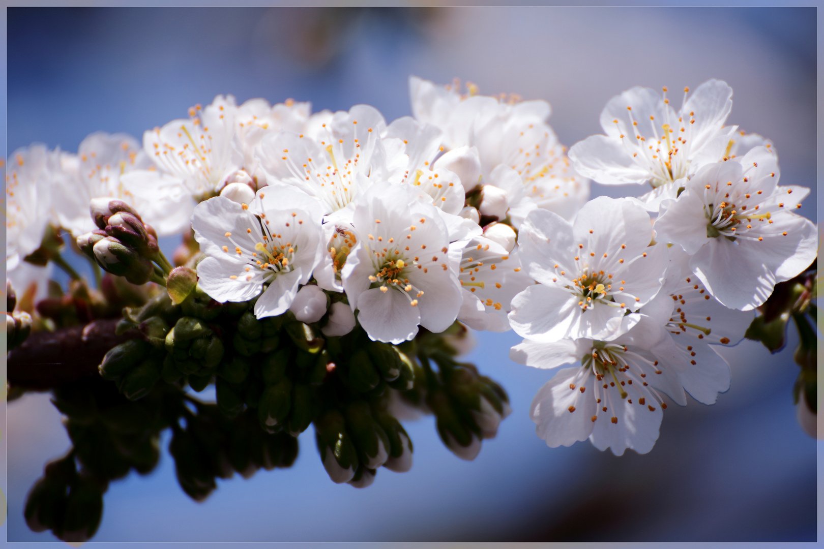 Frühling 2014