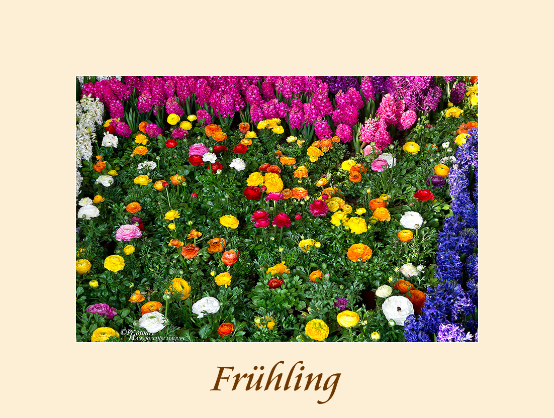 Frühling 2014