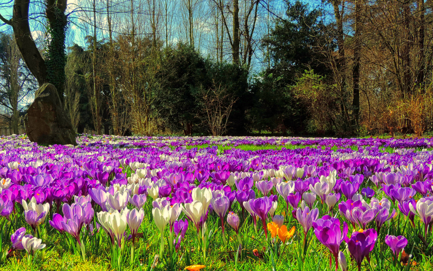 Frühling 2014