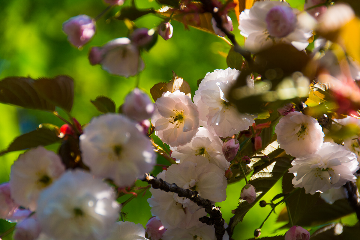 Frühling 2014