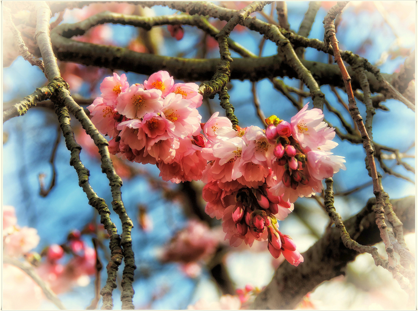 Frühling 2014