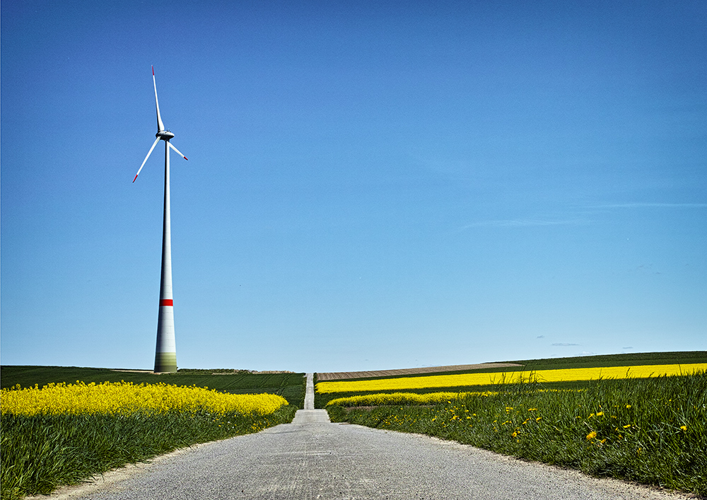 Frühling 2014