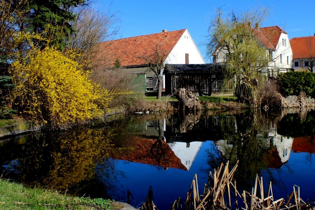 Frühling 2014 am Dorfteich in Baruth