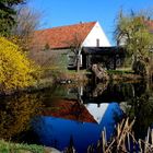 Frühling 2014 am Dorfteich in Baruth