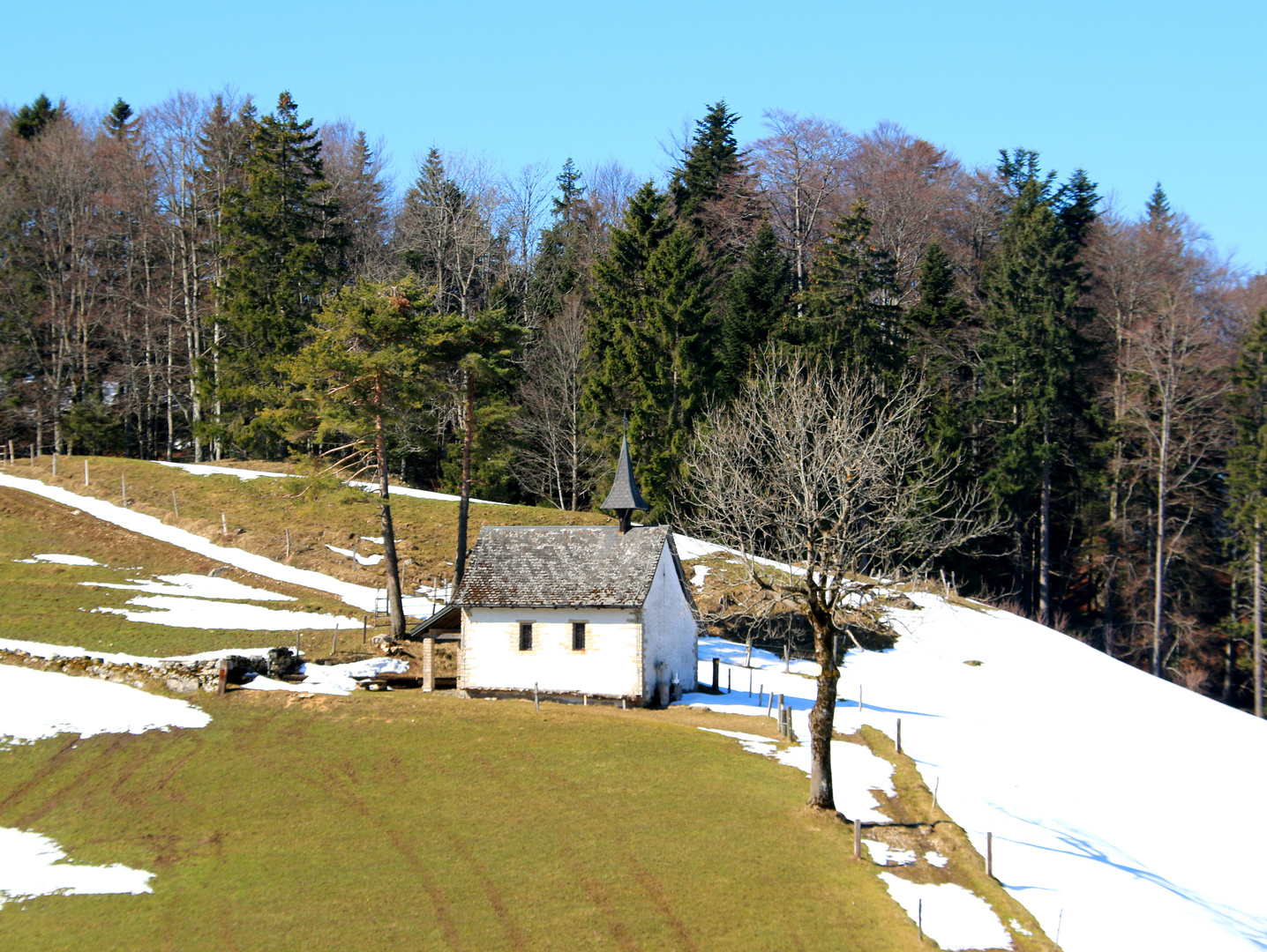 Frühling 2014 auf der Mieschegg