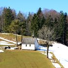 Frühling 2014 auf der Mieschegg