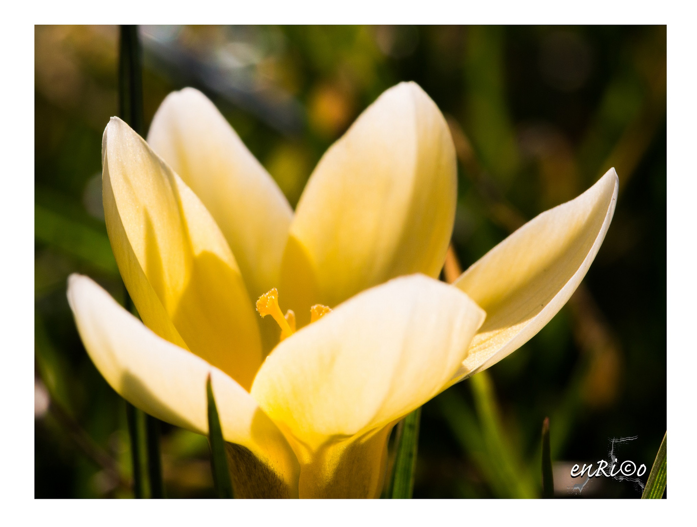 Frühling 2014