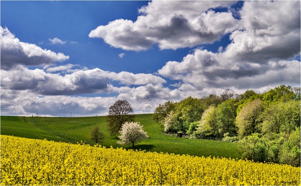 ~ Frühling 2014 ~