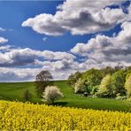 ~ Frühling 2014 ~