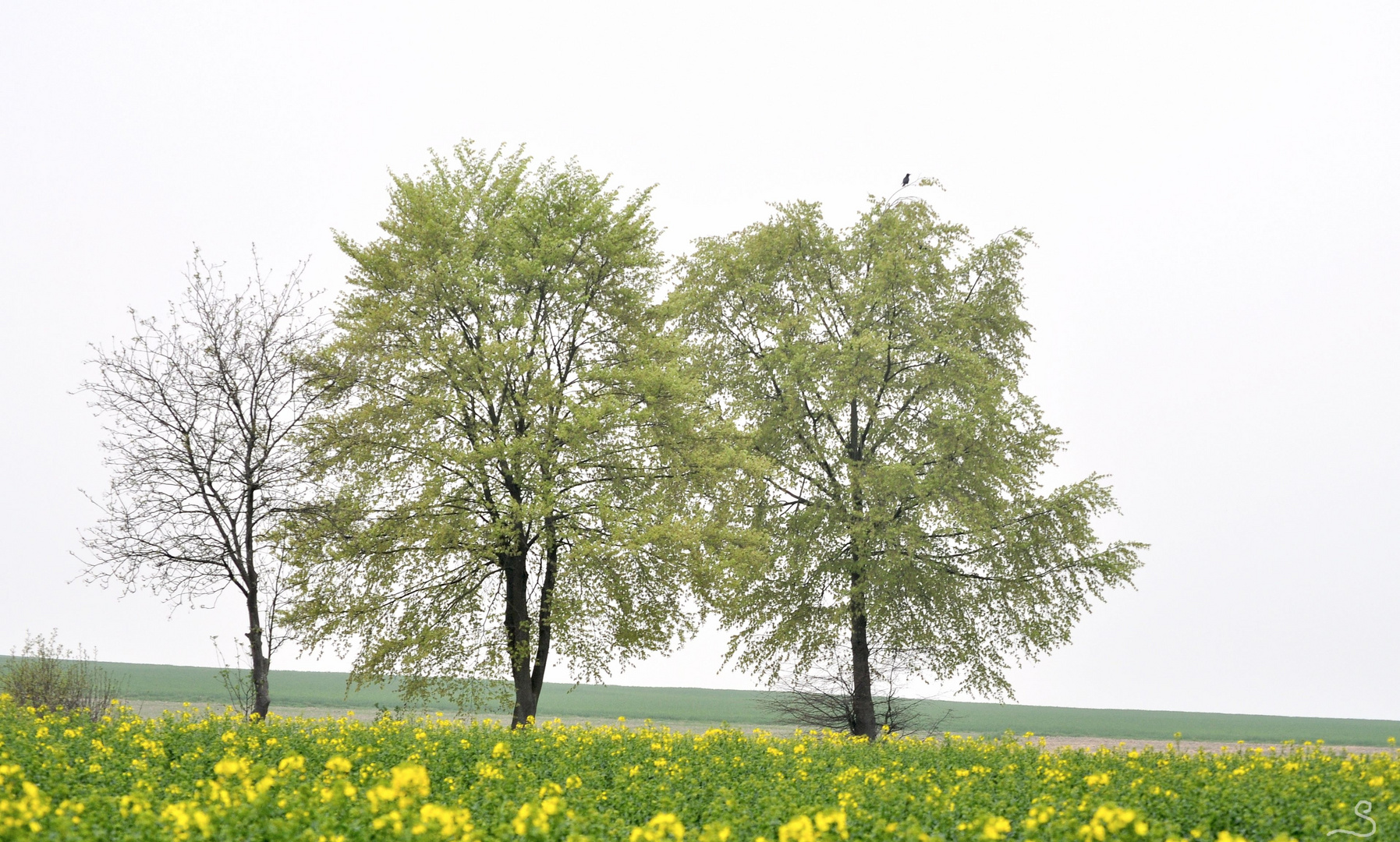 Frühling 2014