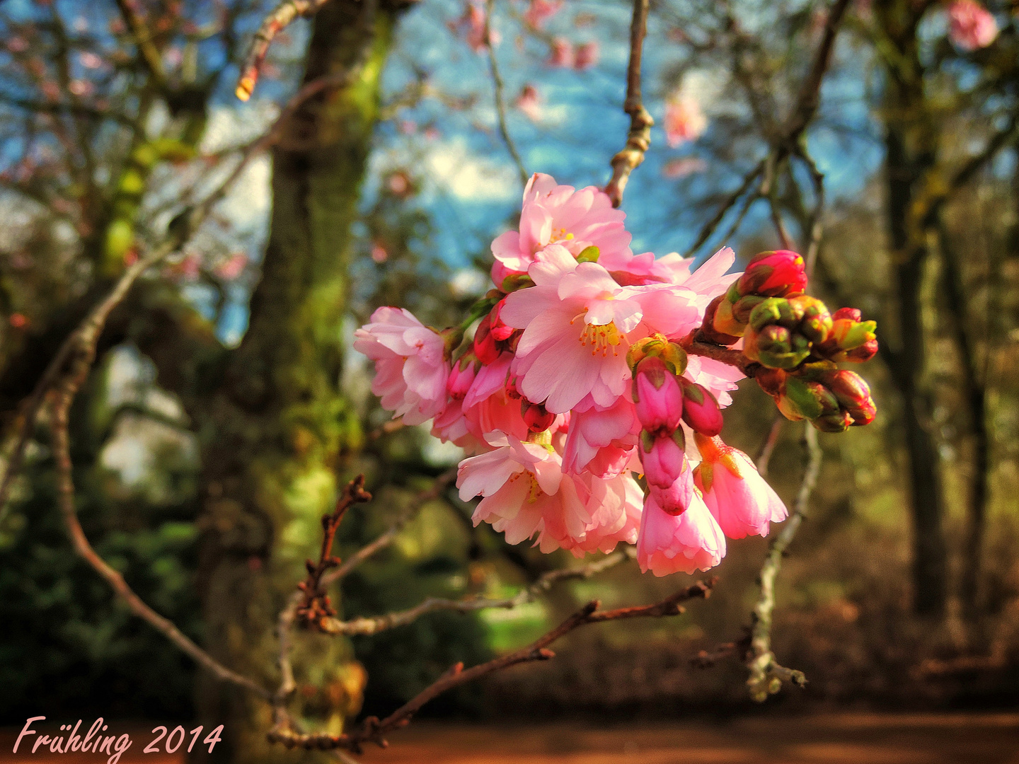 Frühling 2014