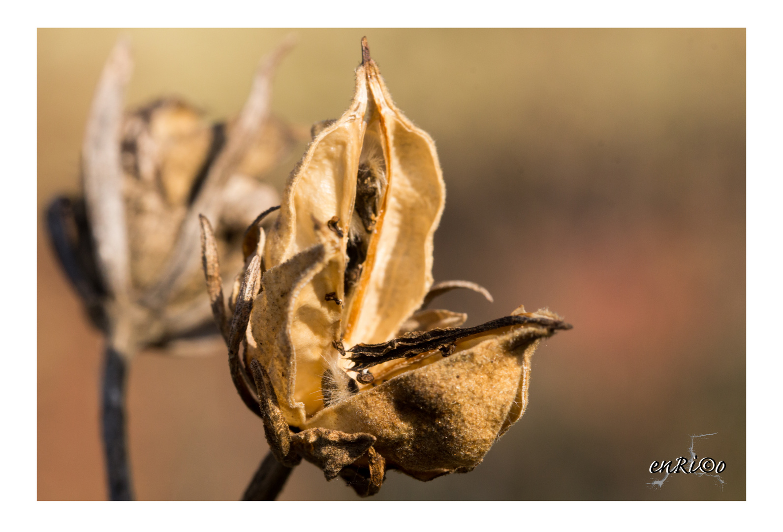 Frühling 2014_2