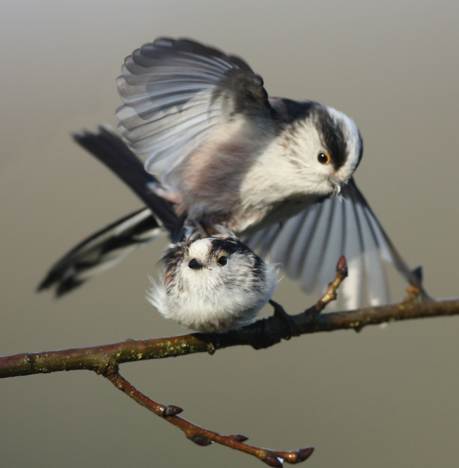 Frühling 2015