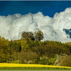 Frühling 2016