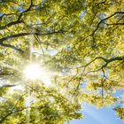 Frühling 2016 im Japanischen Garten Düsseldorf