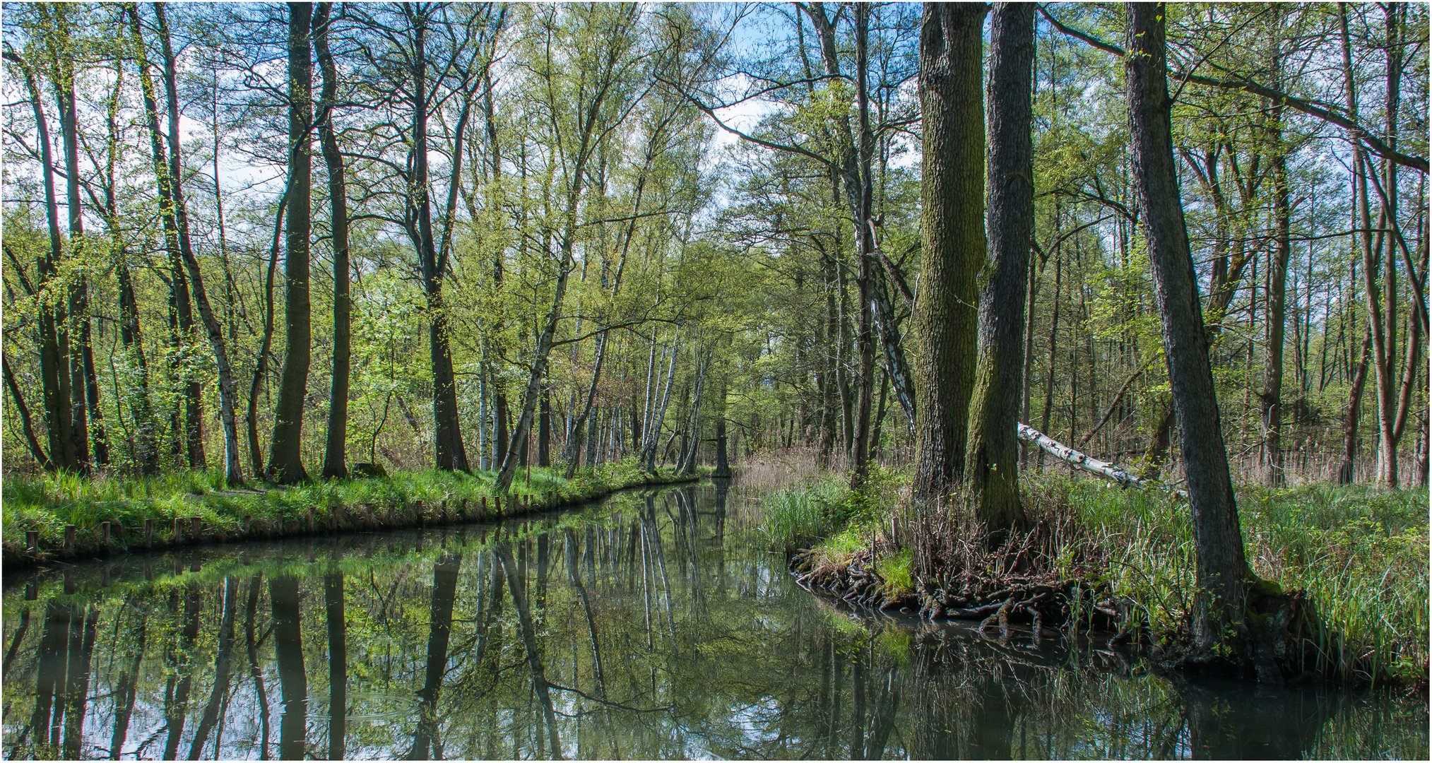 Frühling 2016 im Spreewald