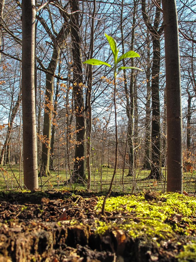 Frühling 2017 