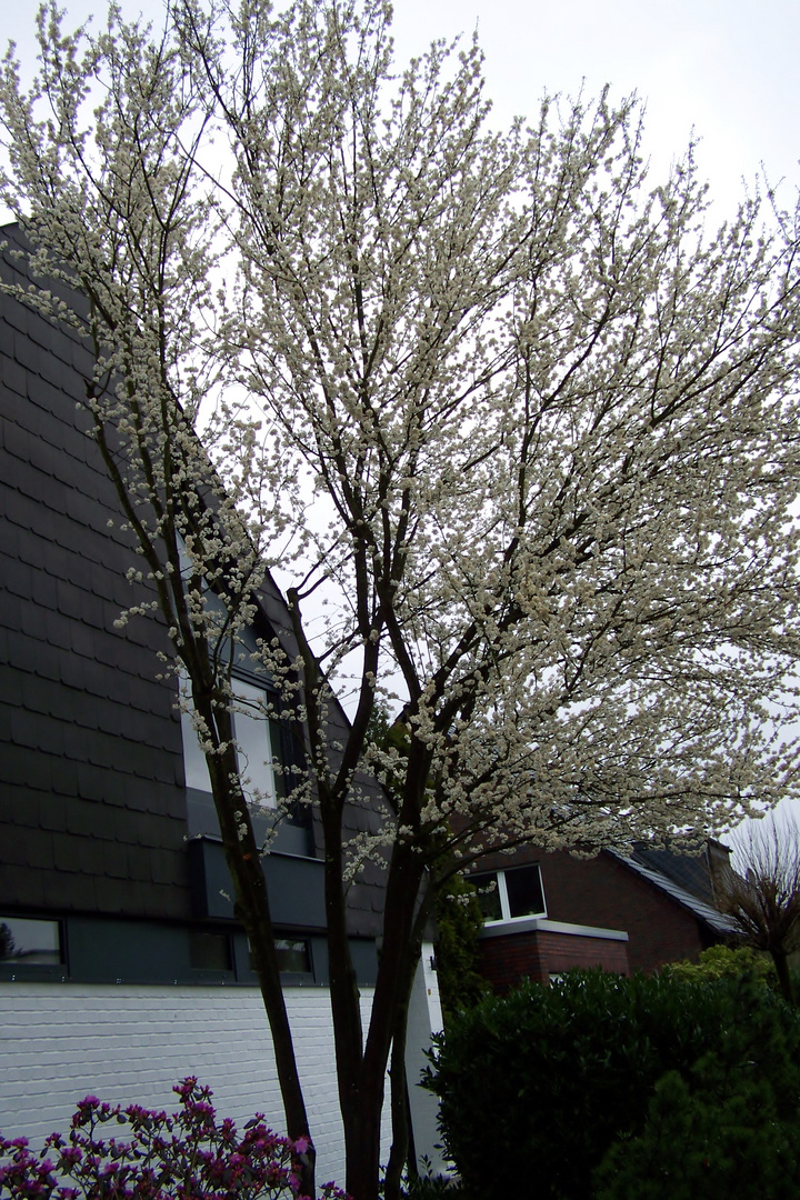 Frühling 2017