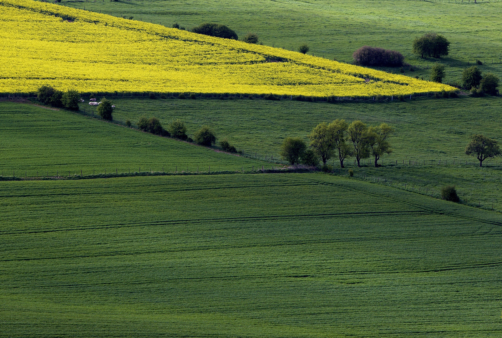 Frühling 2017