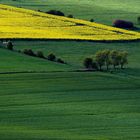 Frühling 2017