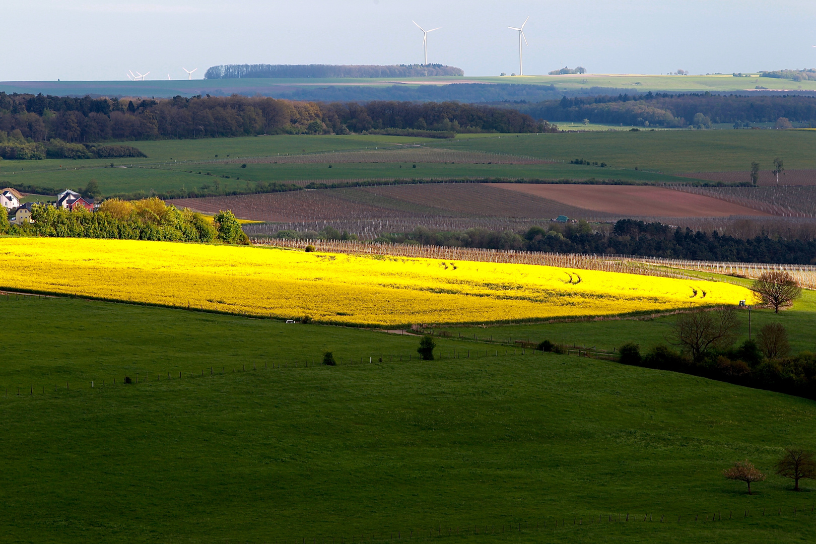 Frühling 2017 IV