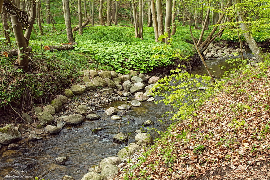 Frühling 2018 am Bach