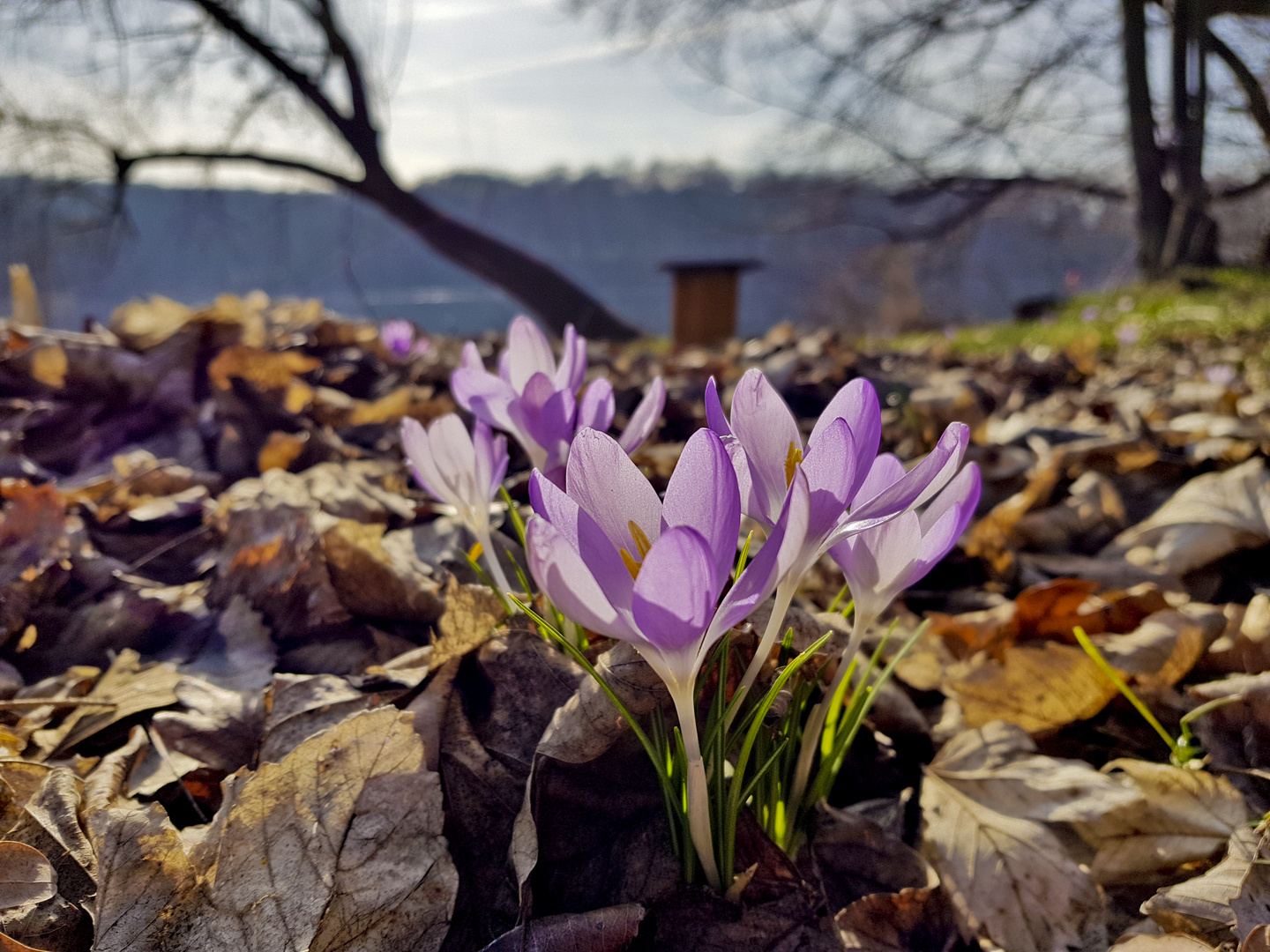 Frühling 2019