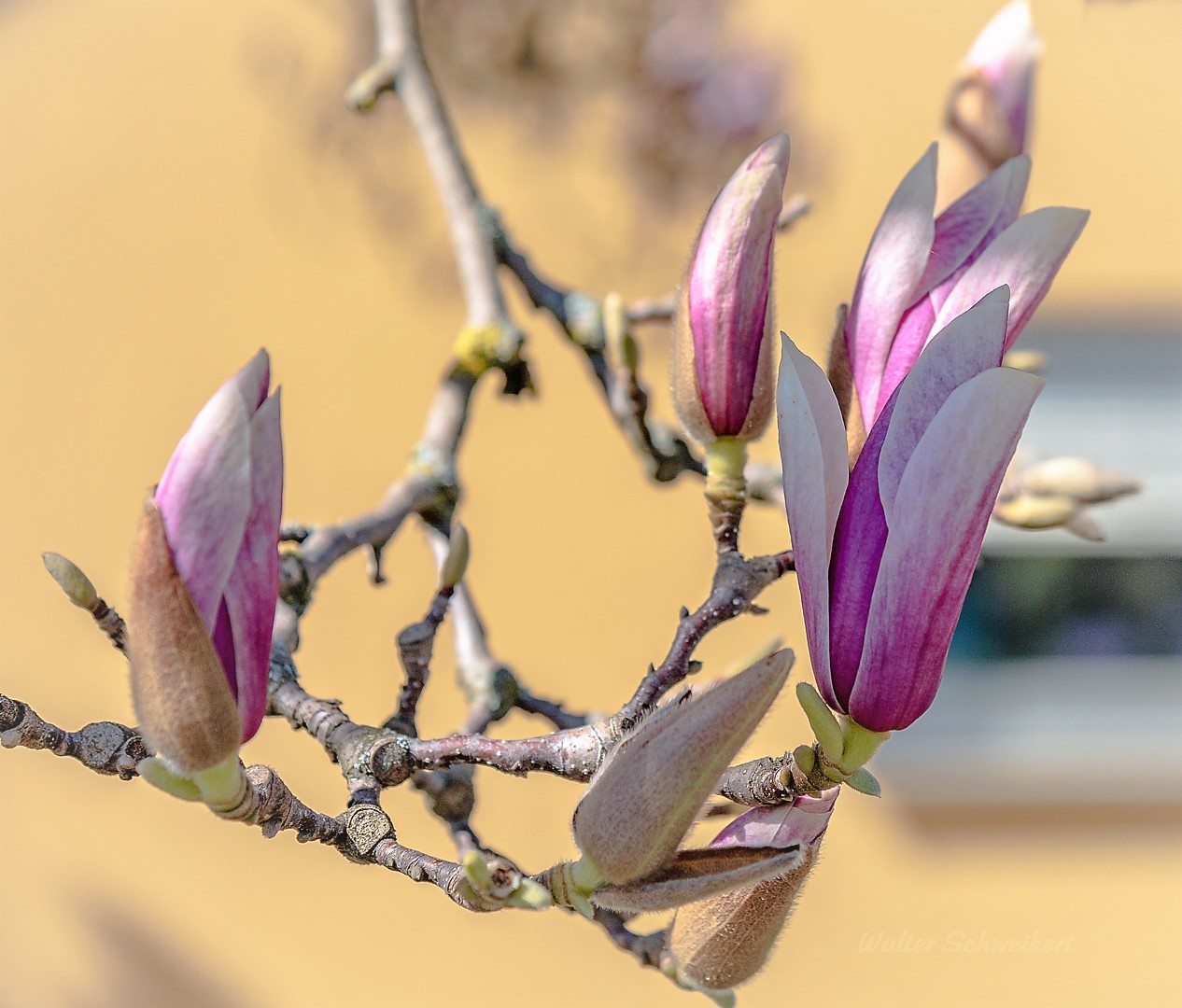 Frühling 2019