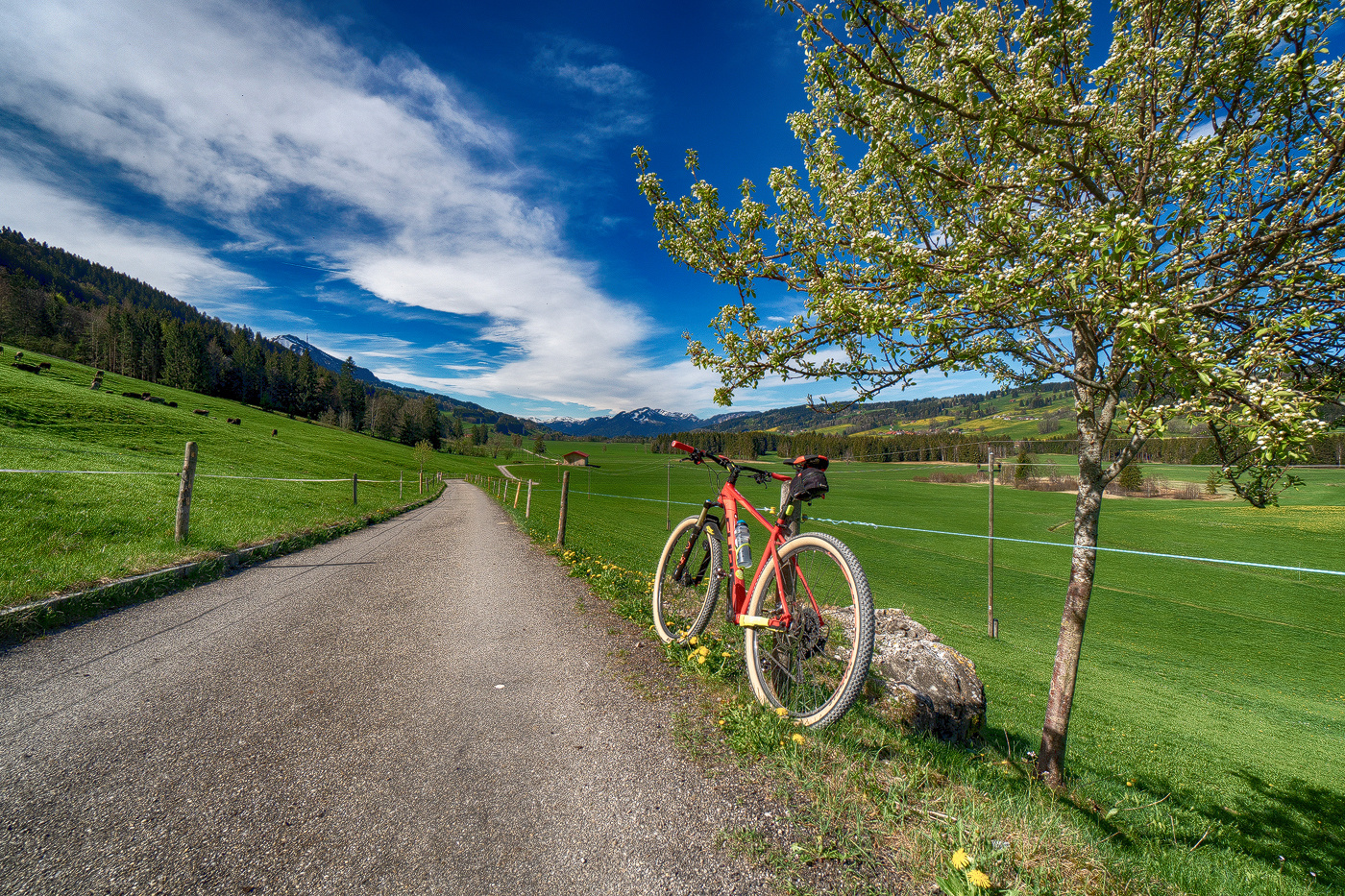 Frühling 2019