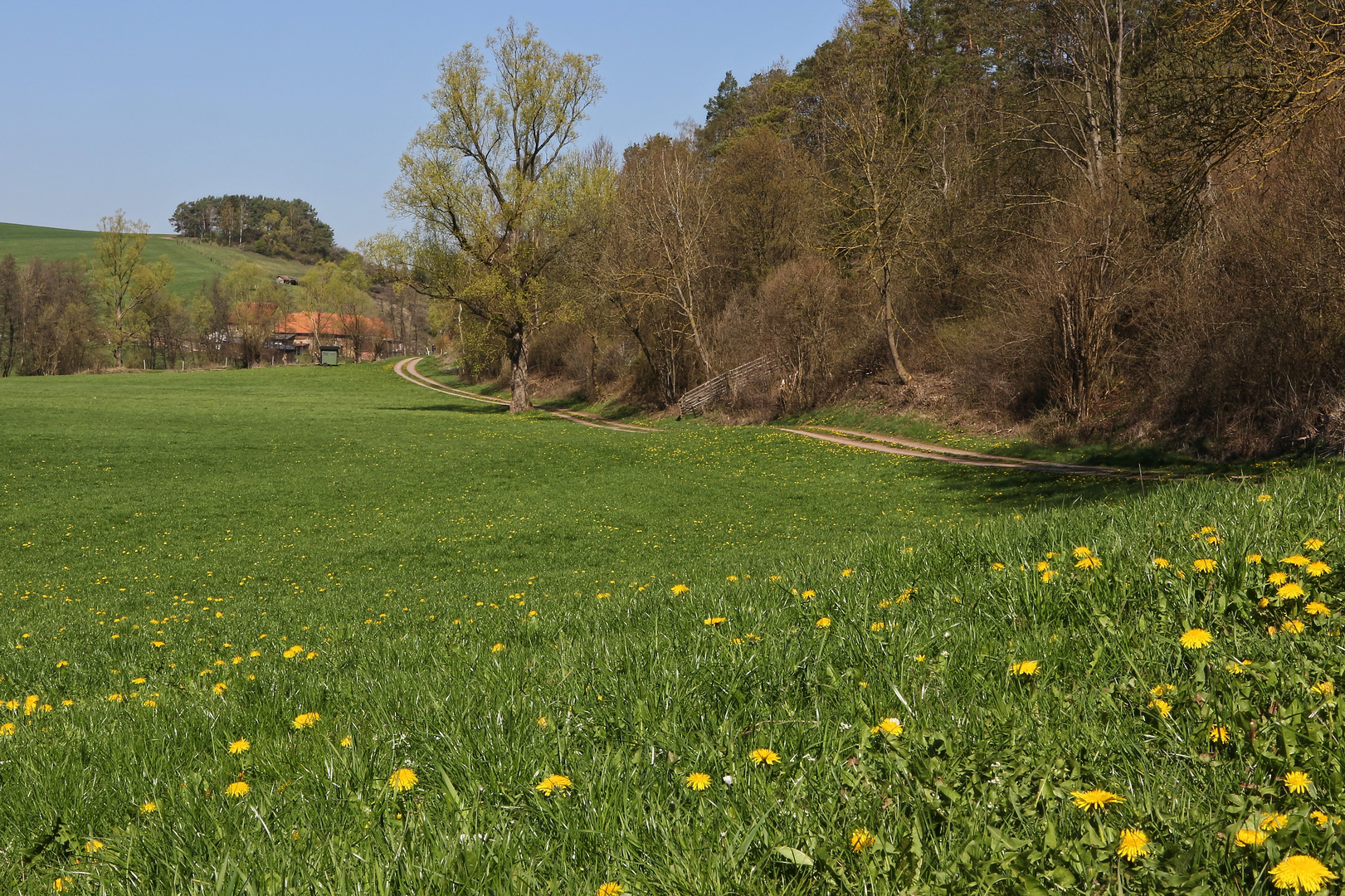 Frühling (2019_04_18_EOS 100D_4579_ji)