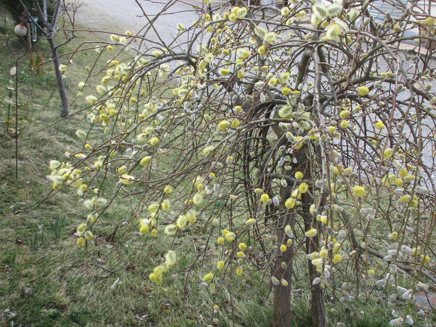 Frühling 2020