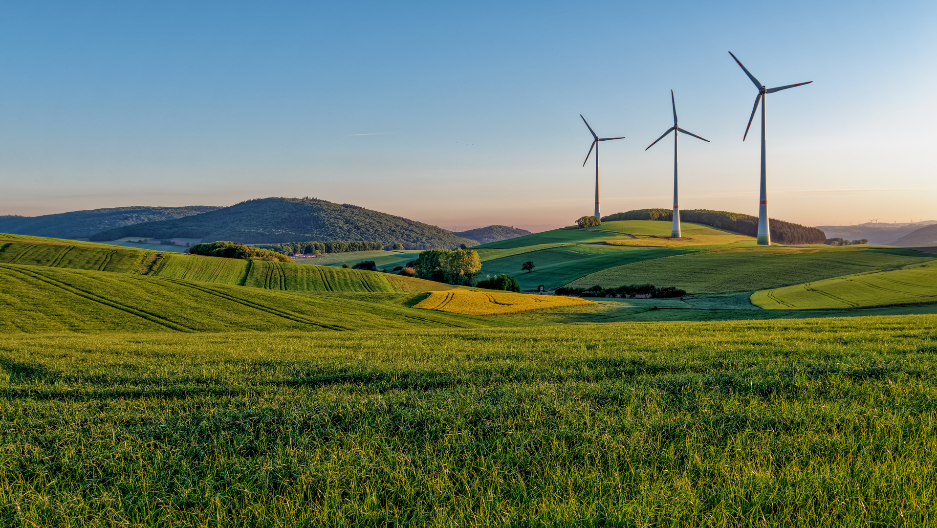 Frühling 2020