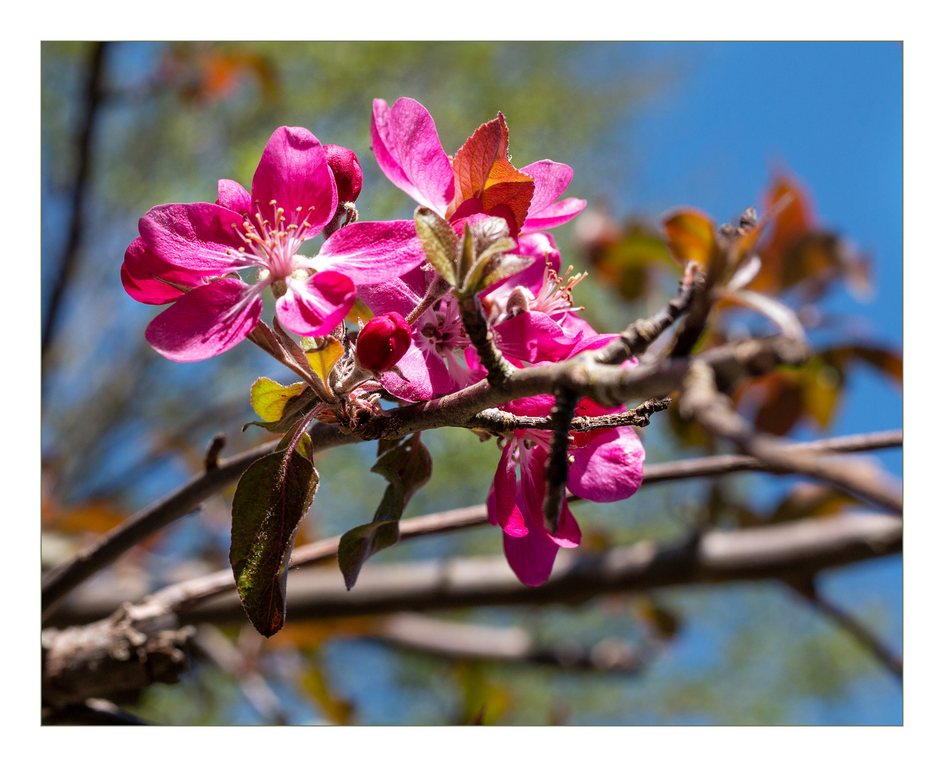 Frühling 2020