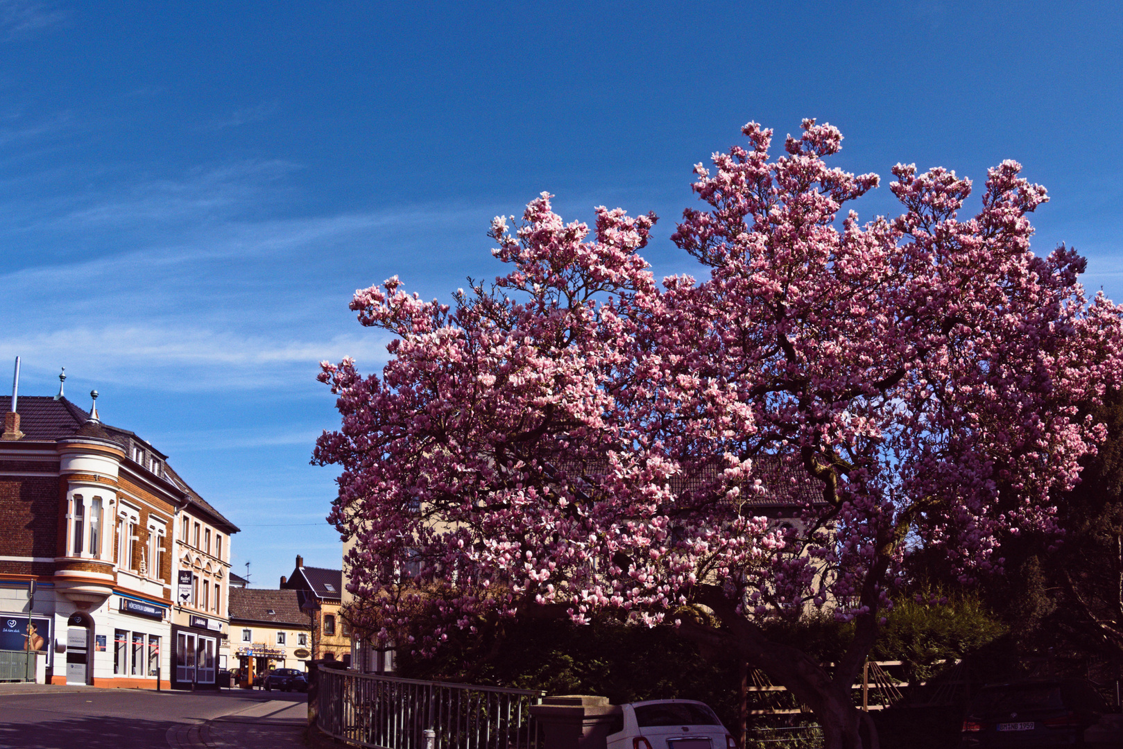 Frühling 2020 in Bedburg