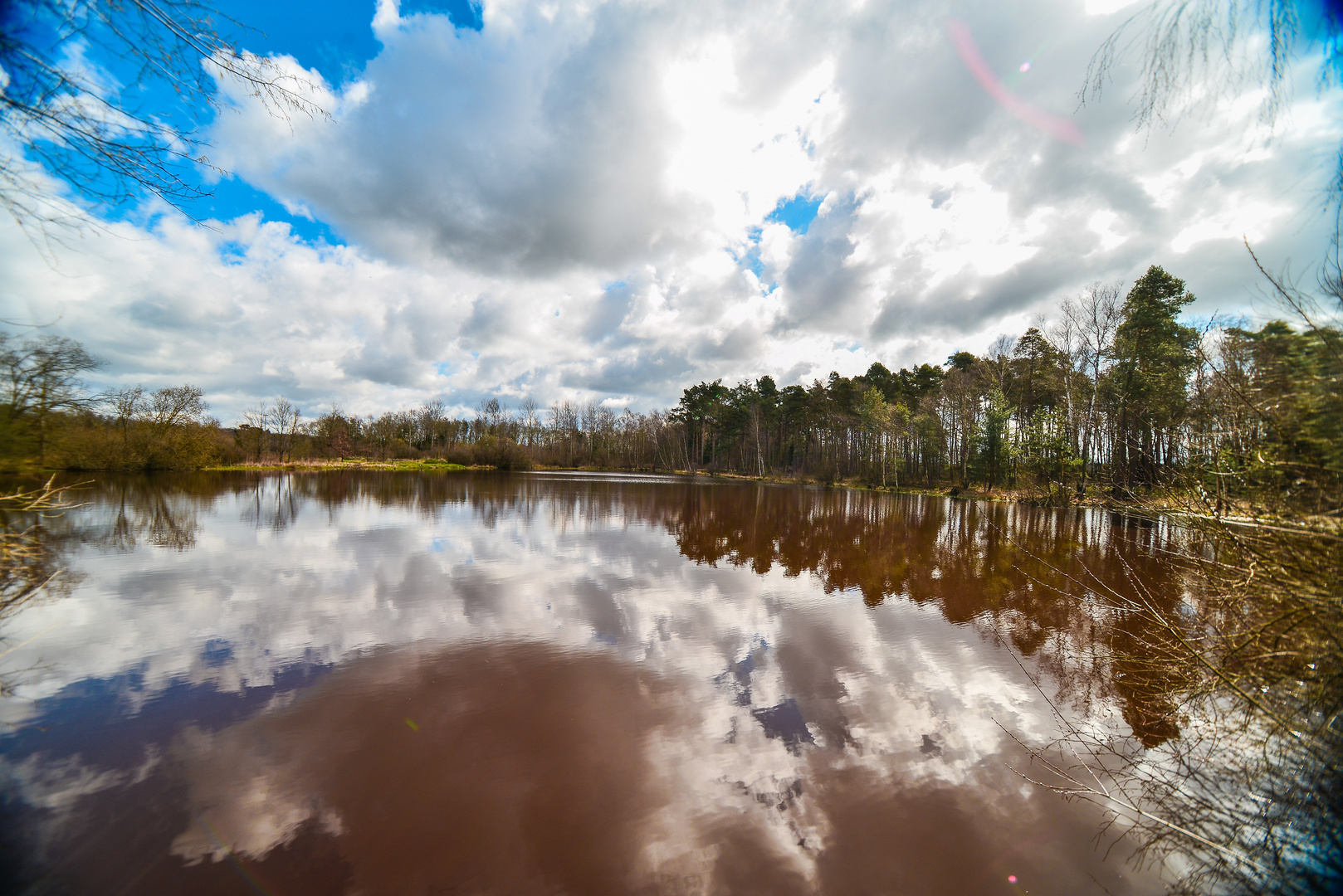 Frühling 2021 in der Südheide. 