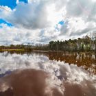 Frühling 2021 in der Südheide. 