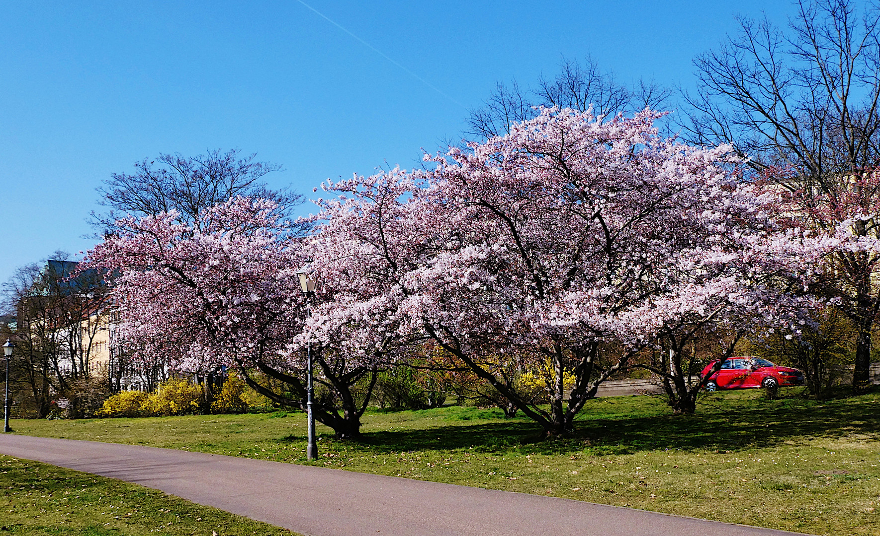 FRÜHLING 2022