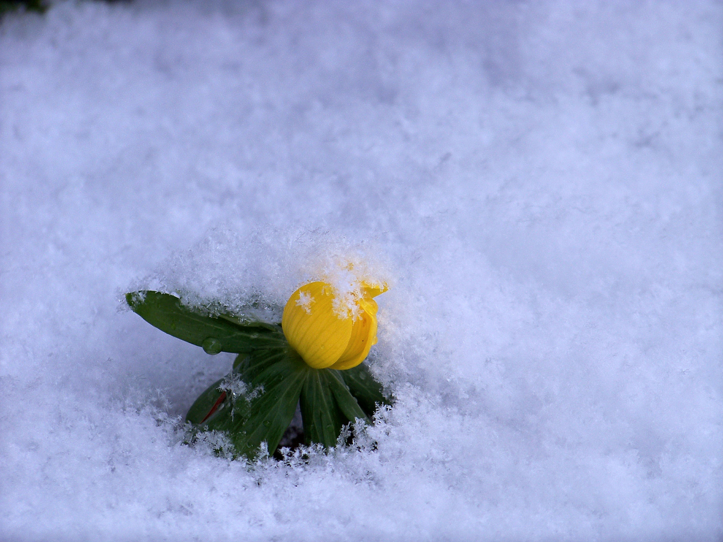 Frühling 2023