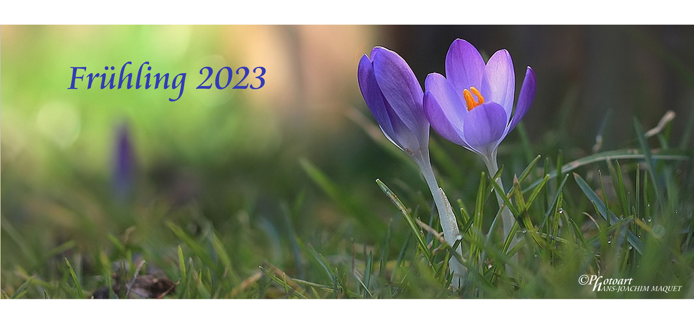 Frühling 2023