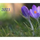 Frühling 2023