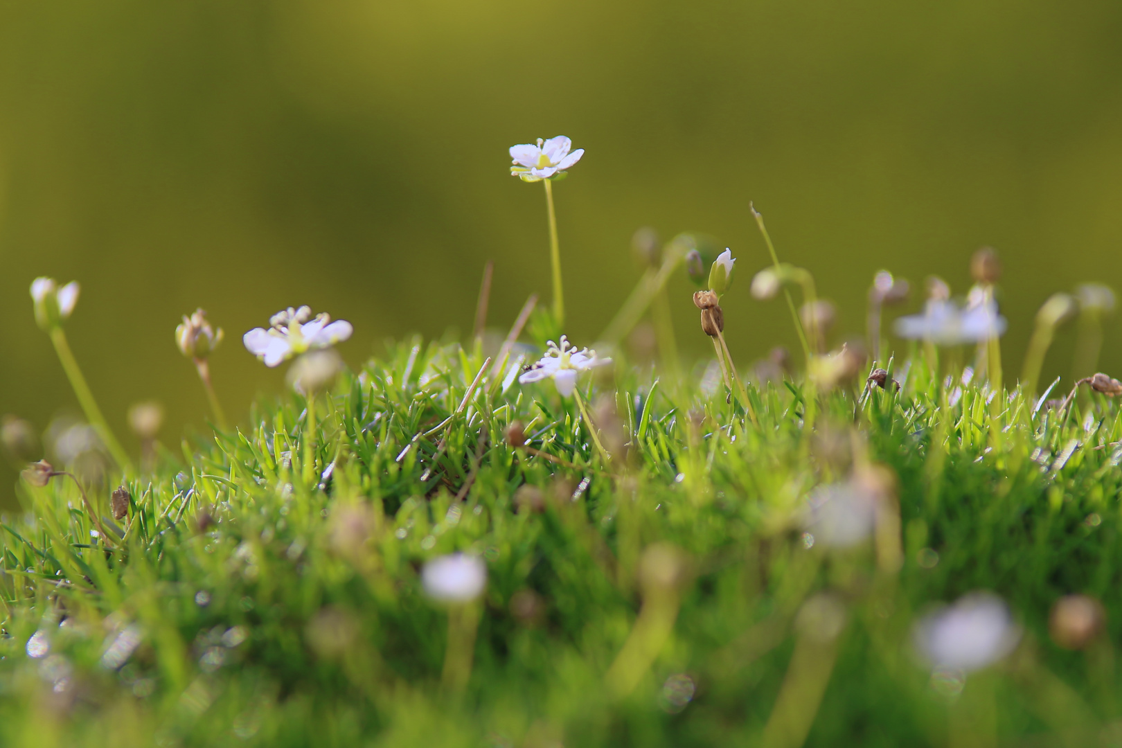 Frühling 2024