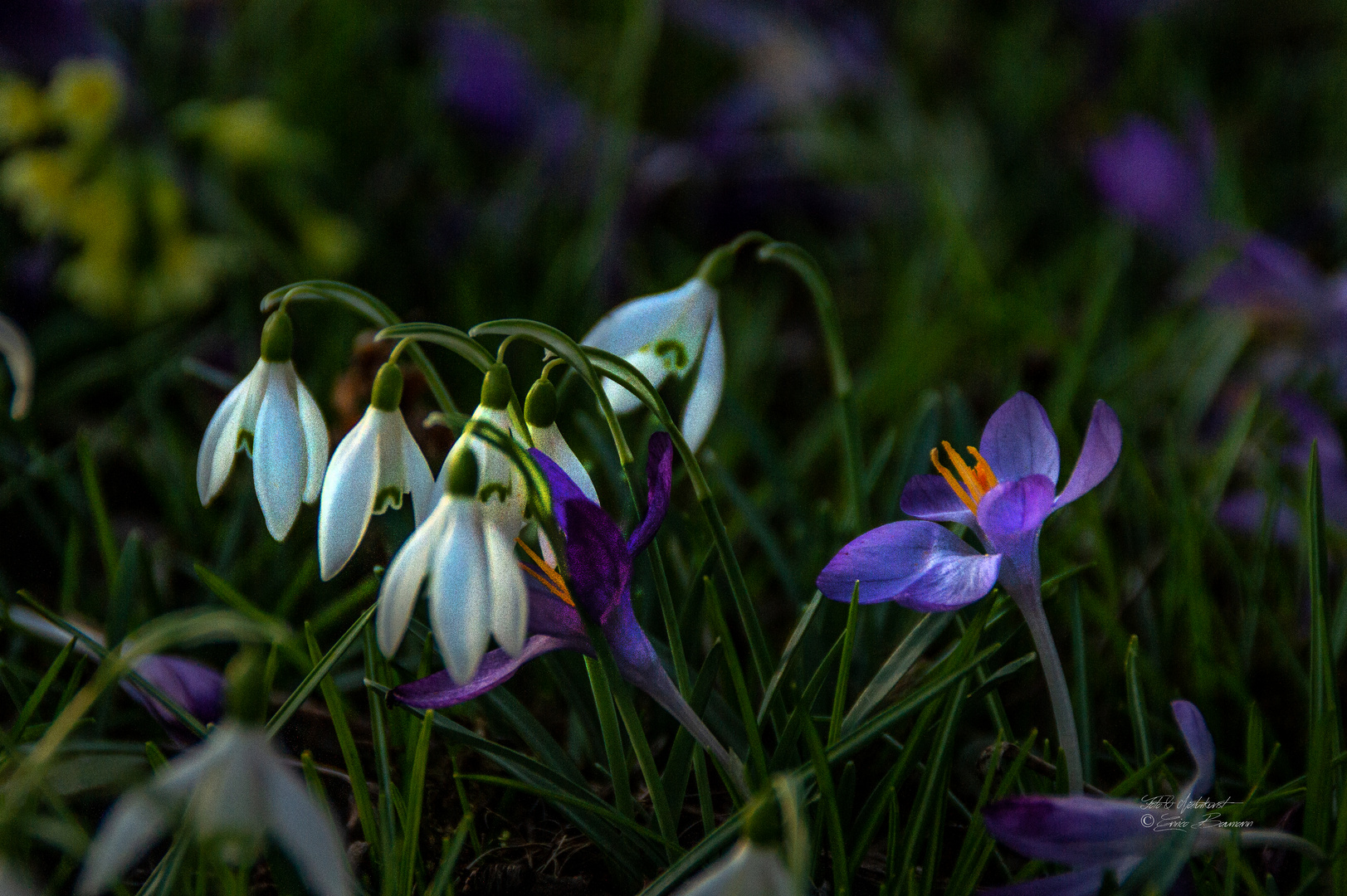 Frühling 2024