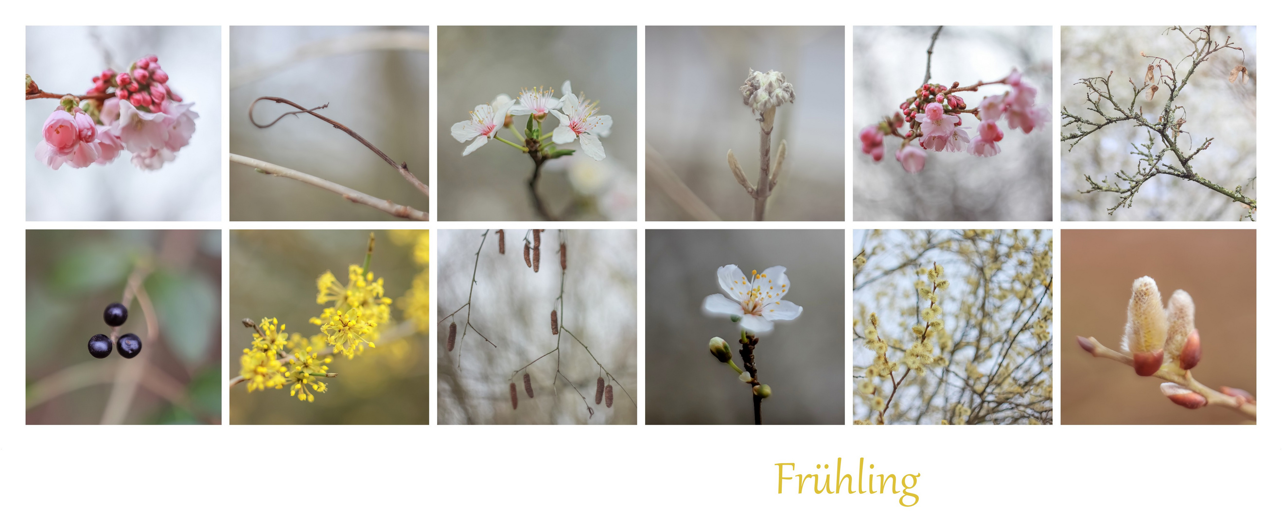 Frühling 2024