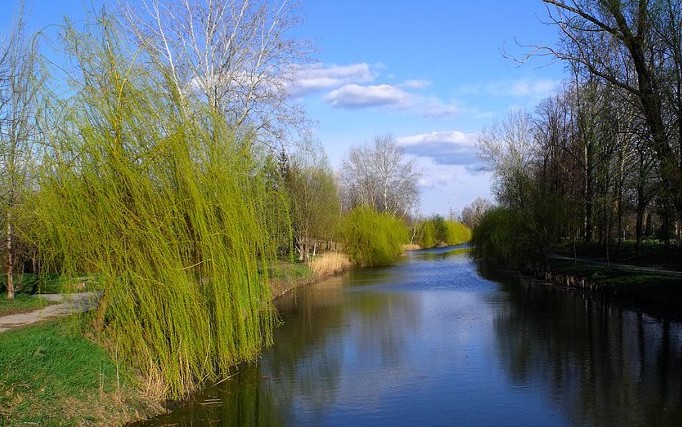 Frühling