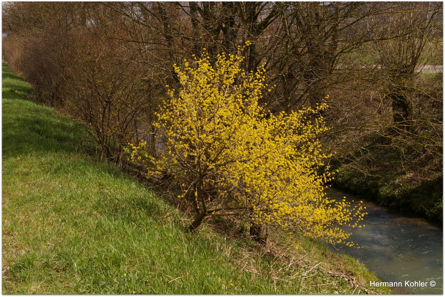 Frühling