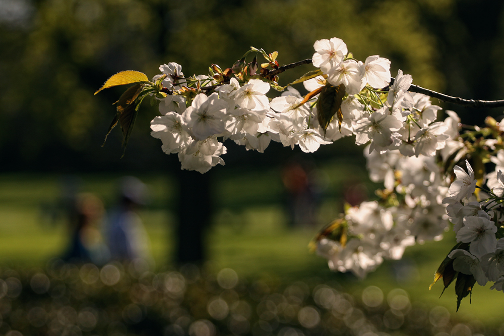 Frühling